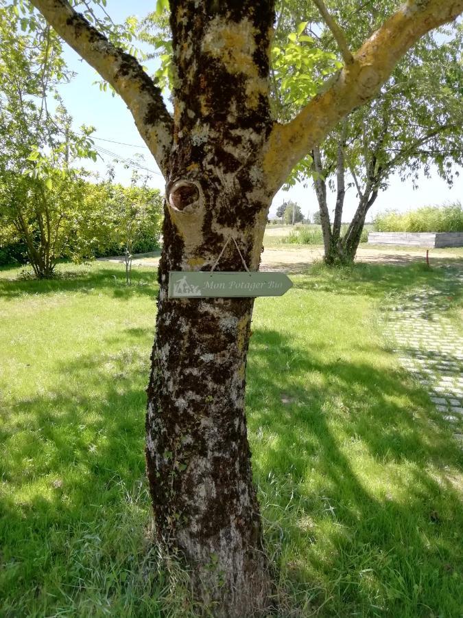 La Planche Princee, Chambres D'Hotes Ecolo Et Potager Bio, Sauna Les Rosiers Kültér fotó