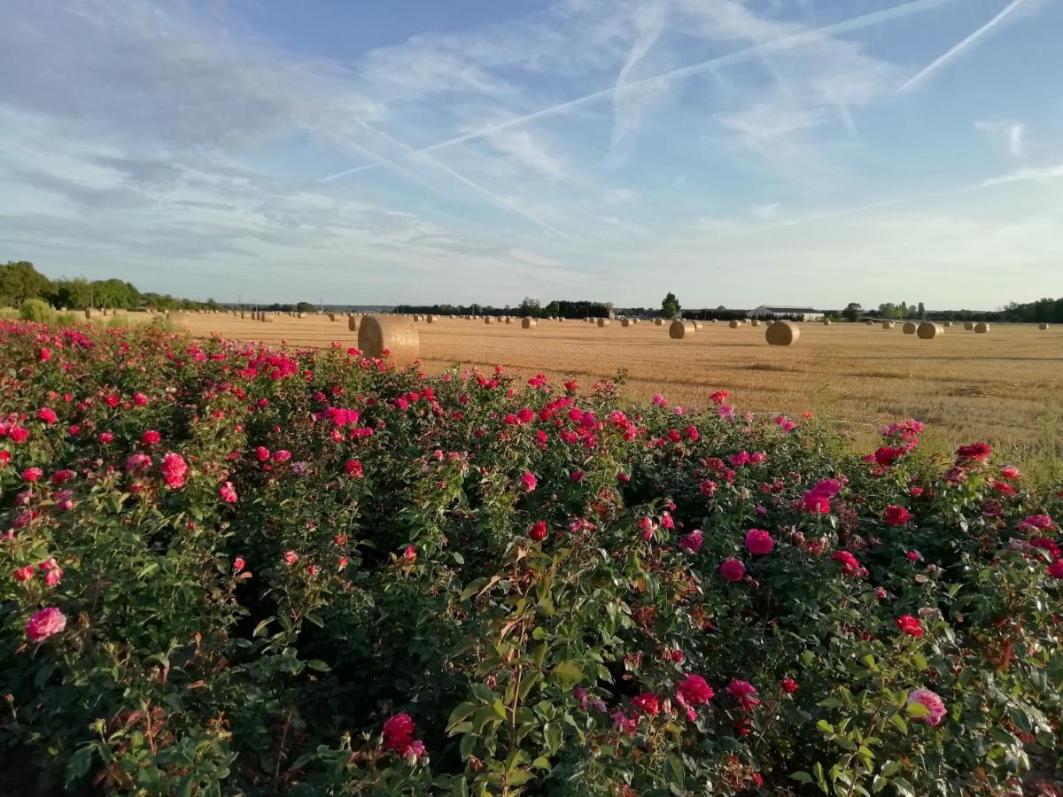 La Planche Princee, Chambres D'Hotes Ecolo Et Potager Bio, Sauna Les Rosiers Kültér fotó